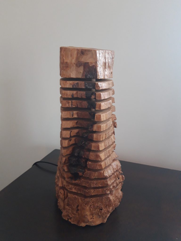 Lampe-bois-buche-sureau