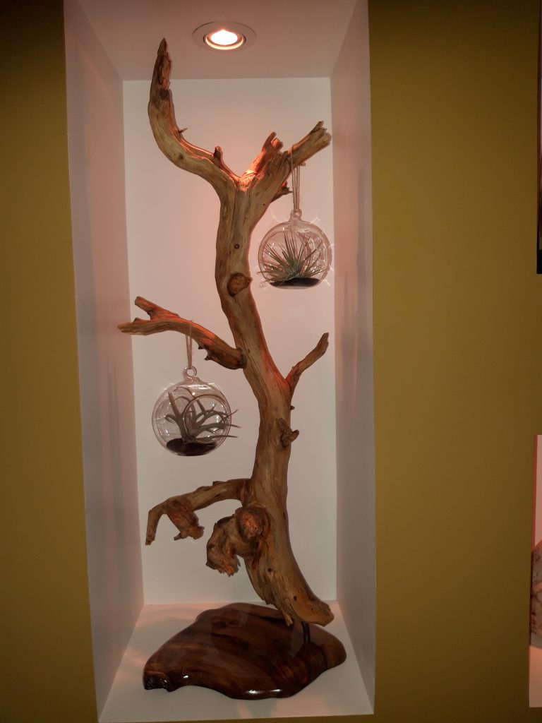 lanatureenlumiere.com-support-tillandsia-boule-verre-branche-pin-noir-decoration-