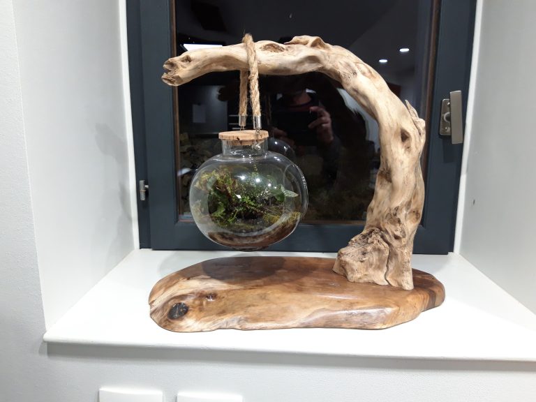 lanatureenlumiere.com-décoration-support-plante-bois-boule-verre-plante-racine
