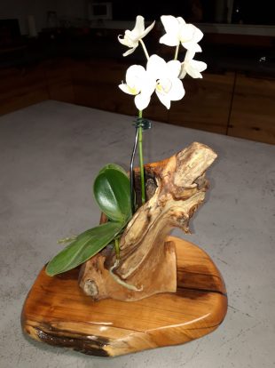 lanatureenlumiere.com-écrin-orchidée-branche-decoration-